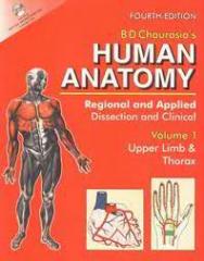 B D Chaurasia  Human Anatomy Vol 1  Upper Limb and Thorax1.jpg, 10.72 KB