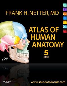 Netter’s Atlas of Human Anatomy, 5th Edition 2.png, 92.7 KB