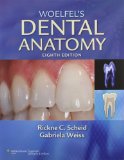 Woelfel’s Dental Anatomy Its Relevance to Dentistry – 8th Edition1.jpg, 5.78 KB