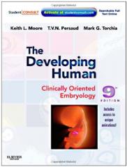 The Developing Human Clinically Oriented Embryology 9th edition 20111.jpg, 9.02 KB