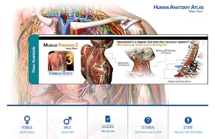 Human Anatomy Atlas1.jpg, 33.84 KB