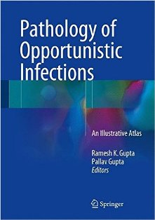 Pathology Opportunistic Infection Atlas1.jpg, 15.52 KB