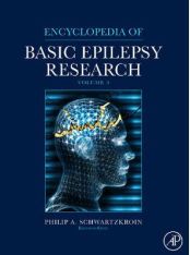 epilepsy research1.JPG, 8.66 KB