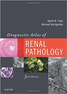 Diagnostic Atlas of Renal Pathology 1.jpg, 17.68 KB