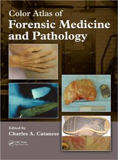 Color Atlas of Forensic Medicine and Pathology1.jpg, 15.08 KB