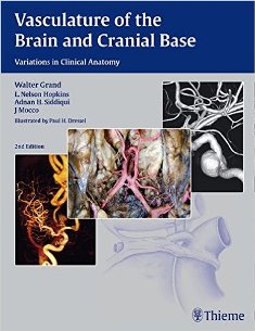 Vasculature of the Brain and Cranial Base 1.jpg, 22.84 KB