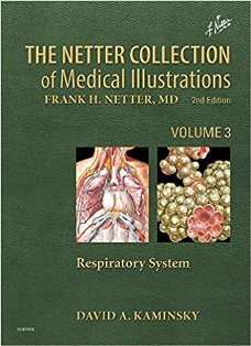 The Netter Collection of Medical Illustrations Respiratory System 1.jpg, 27.53 KB