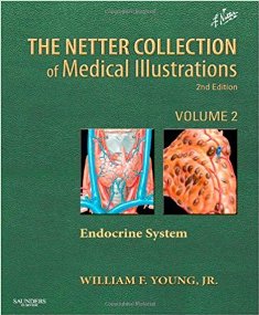 The Netter Collection of Medical Illustrations The Endocrine System 1.jpg, 22.96 KB
