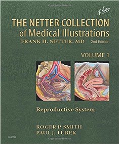 The Netter Collection of Medical Illustrations Reproductive System 1.jpg, 24.22 KB