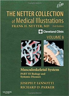 The Netter Collection of Medical Illustrations Musculoskeletal System 63 1.jpg, 25.66 KB