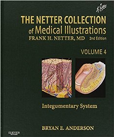 The Netter Collection of Medical Illustrations Integumentary System 1.jpg, 19.63 KB