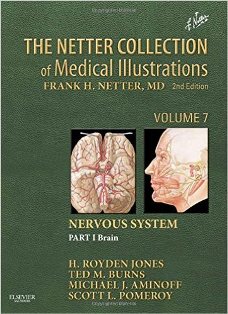 The Netter Collection of Medical Illustrations Nervous System I 1.jpg, 27.42 KB