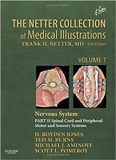 The Netter Collection of Medical Illustrations Nervous System II 1.jpg, 28.4 KB