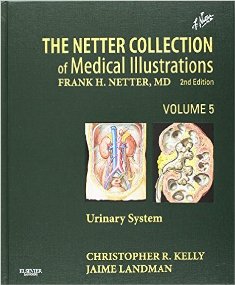 The Netter Collection of Medical Illustrations Urinary System 1.jpg, 20.6 KB