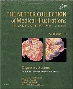 The Netter Collection of Medical Illustrations Digestive System II 1.jpg, 24.95 KB