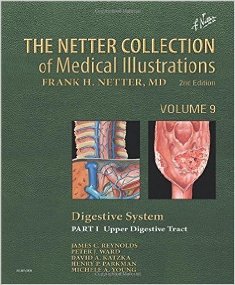 The Netter Collection of Medical Illustrations Digestive System I 1.jpg, 23.03 KB