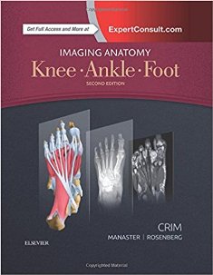 Imaging Anatomy Knee Ankle Foot 2e 1.jpg, 17.05 KB