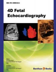 4D Fetal Echocardiography1.jpg, 8.27 KB