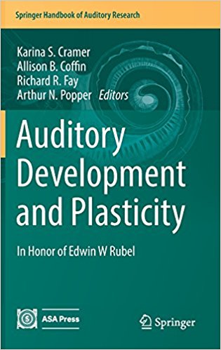 Auditory Development and Plasticity 1.jpg, 36.36 KB