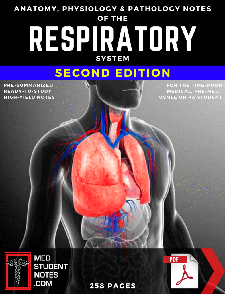 Respiratory System Notes 2ed.png, 232.61 KB