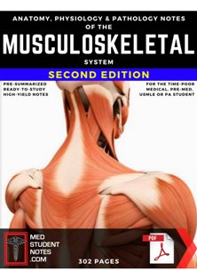Musculoskeletal_System_Notes 4.jpg, 18.76 KB