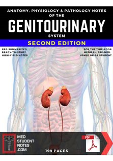 Genitourinary_System_Notes 4.jpg, 19.41 KB