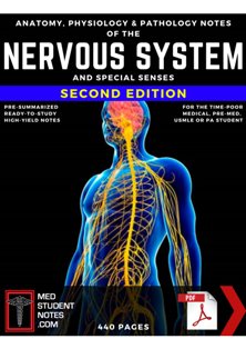 Nervous_System___Special_Senses_Notes 4.jpg, 21.79 KB