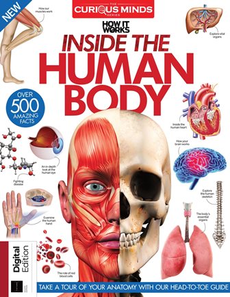 Inside_The_Human_Body 2021.jpg, 49.65 KB