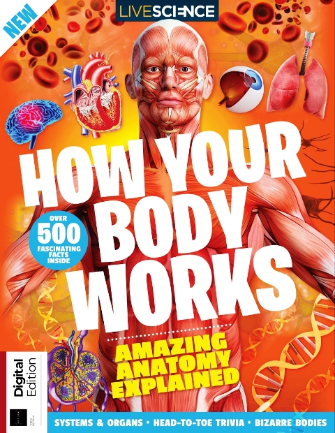 How your body work.jpg, 309.57 KB