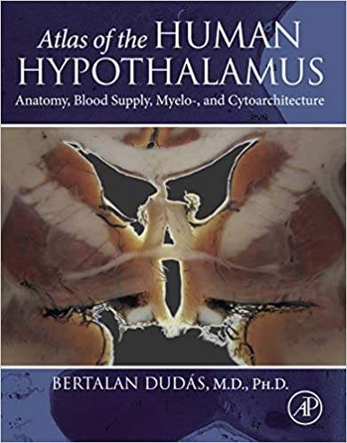 Atlas of the Human Hypothalamus.jpg, 31.4 KB