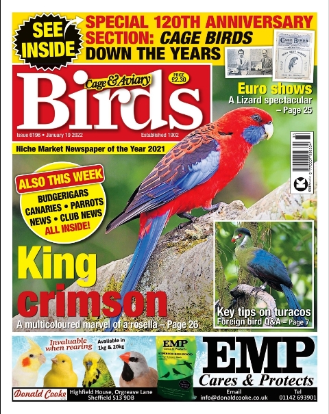 Cage & Aviary Birds - Issue 6196.jpg, 323.34 KB