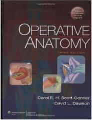 Operative Anatomy1.jpg, 8.31 KB