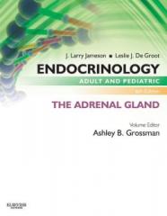 Endocrinology Adult and Pediatric  The Adrenal Gland 6ed1.jpg, 6.71 KB