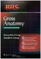 BRS Gross anatomy 1.png, 97.32 KB