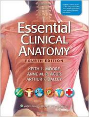 Essential Clinical Anatomy, 4th Edition1.jpg, 12 KB