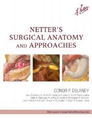 Netter’s Surgical Anatomy and Approaches1.jpg, 8.42 KB