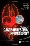 Atlas Gastrointestinal Endomicroscopy1.jpg, 5.17 KB
