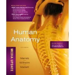 Human Anatomy 7th Edition ( Media Update )1.jpg, 9.66 KB